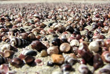 Booderee National Park